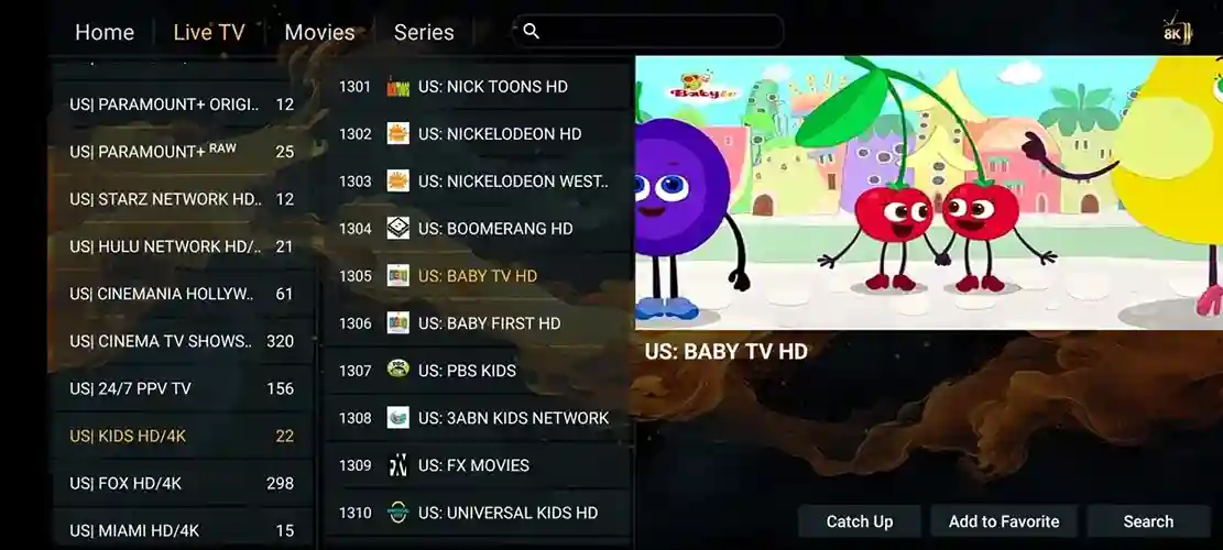 Preview 3 - FireView TV Premium IPTV Subscription